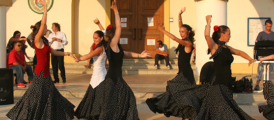 Articles | Le Flamenco | Guide Tourisme Camargue.fr