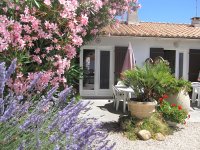 6601428aa597e-palmier-cour