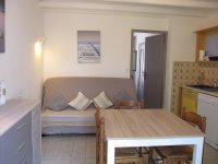 660142eb1b411-palmier-sejour-cuisine