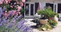 66014613b72f1-palmier-bandeau