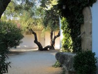 1397553559-hotel-cacharel-galerie04