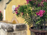 1397553645-hotel-cacharel-galerie12