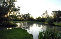 65d5bcda26d34-59fb1e0e76182-etang