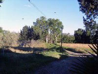 1418643813-mas-platanes-bienvenue22