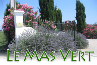 1396603807-mas-vert 1396603807-mas-vert