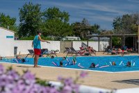 Camping_La Brise de Camargue_animation aquagym
