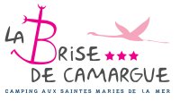 Logo Brise