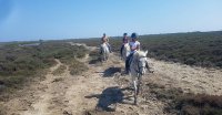 5caafd0595b84-tamaris-ballade-04