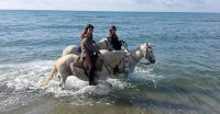 5caafd217157e-tamaris-ballade-06