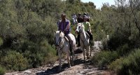 5caafd6f22fee-tamaris-ballade-slider-03
