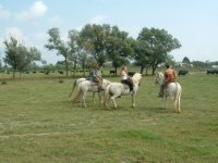 1394967837-les-baumelles-015