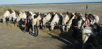 5eb40b4df3dc8-groupe-seminaire
