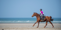 64c75a24ef7ca-galop-plage