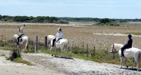 1403094388-equestre-grenouillere-formation-slider01