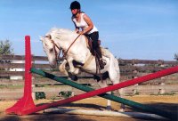 1403094470-equestre-grenouillere-formation01