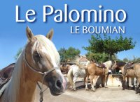 1381315239-palominoext