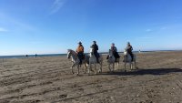 62947aae880c0-plage