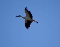 60c24b7bc5a98-dsc02471
