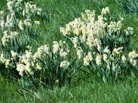 60c24c1879722-dsc01053