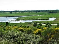 60c24f9315e87-paysages