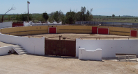 1429792591-tienta
