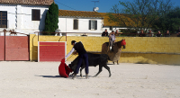 1429792610-tientapopup