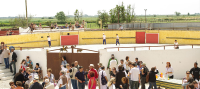 1429792924-jeux-taurins