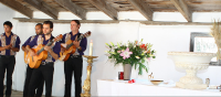 1429793105-animation-musical