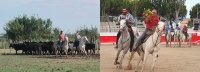 1395410833-manade-allard02