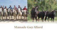 1395411652-manade-allard-accueil01