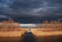 1423047977-camargue-decouverte-safari01
