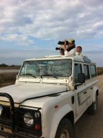 1423049063-camargue-decouverte-safari03