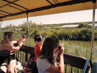 1423058121-camargue-decouverte-caleche02