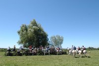 1423644642-camargue-decouverte-manade03