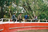1423644650-camargue-decouverte-manade04