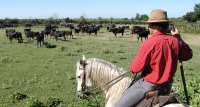 1423644662-camargue-decouverte-manade-slider03