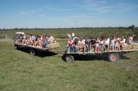 1423644870-camargue-decouverte-manade05