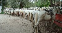 1423648391-camargue-decouverte-seminaire-slider04