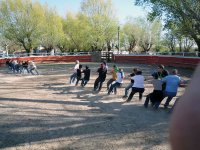 1423648409-camargue-decouverte-seminaire01