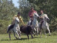 1424082665-camargue-decouverte-seminaire10