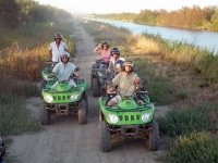 1424082744-camargue-decouverte-seminaire09