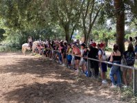 6647212cb0229-scolaires-manade