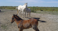 1397559512-quatre-maries-slider-home-03