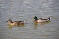 5913179d4eb34-dsc0051