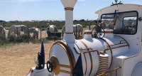 61fbe6c15440c-petit-train-camarguais-avatar-01