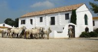 1470045004-gitan-safari-slider-groupe-03