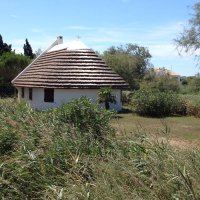 147038830757a458530d231cam-alp-safaris-carre-03