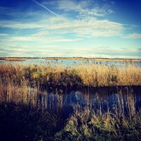 1470402527-img0420