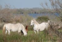 5b87baaa101ad-img2318