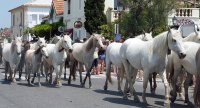 1443514602-vele-saintois-home-slider16